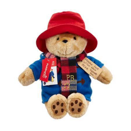 Rainbow | Large Cuddly Paddington with Scarf