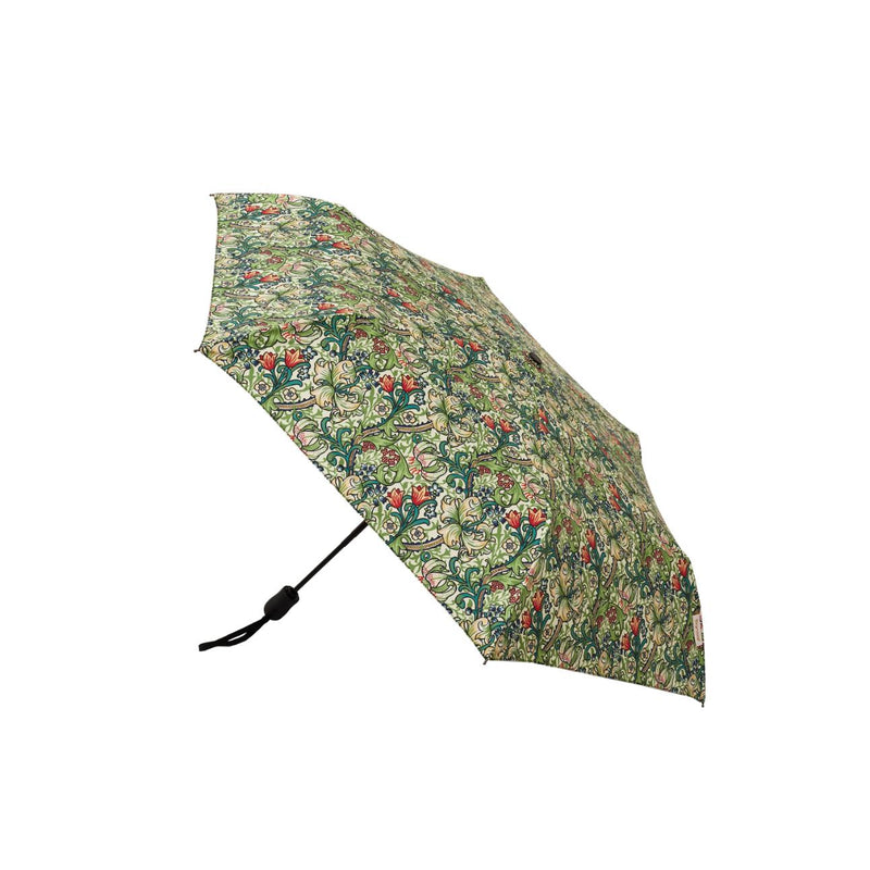 William Morris Golden Lily - Automatic Folding Umbrella